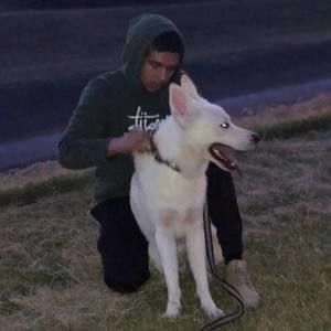 Meet your Posher, Calvillo